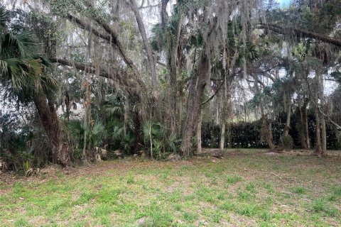 Land in Hawthorne, Florida № 2165330 - photo 3