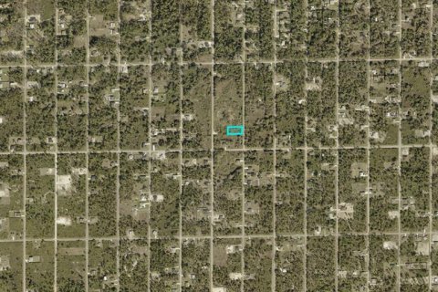 Land in Lehigh Acres, Florida № 2161693 - photo 3