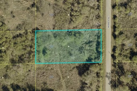 Land in Lehigh Acres, Florida № 2161693
