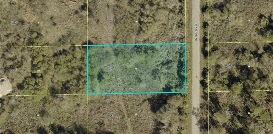 Land in Lehigh Acres, Florida № 2161693
