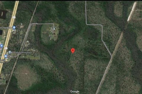 Land in Fountain, Florida № 2167878 - photo 5