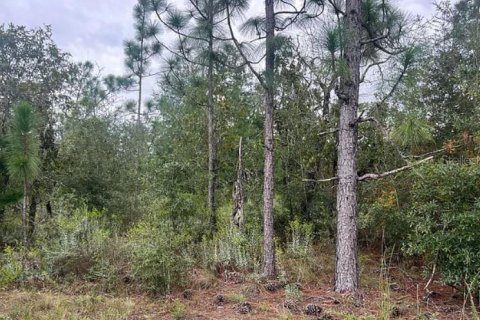 Land in Fountain, Florida № 2167878 - photo 6