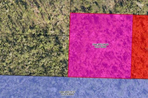 Land in Fountain, Florida № 2167878