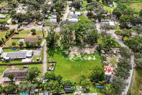 Immobilier commercial à louer à Thonotosassa, Floride: 49.05 m2 № 2429638 - photo 23