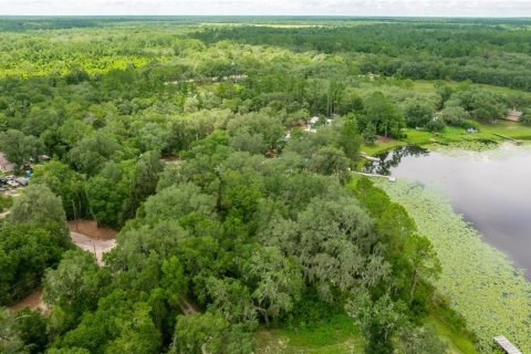 Купить земельный участок в Форт Маккой, Флорида № 2163550 - фото 2
