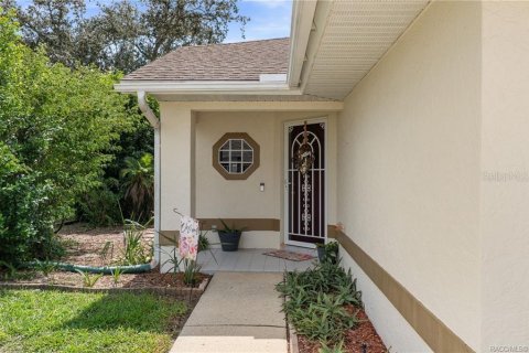 House in Hernando, Florida 3 bedrooms, 138.98 sq.m. № 2393570 - photo 6