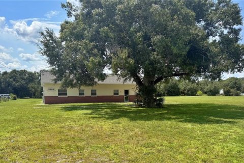 Immobilier commercial à louer à Arcadia, Floride: 379.41 m2 № 2356481 - photo 3