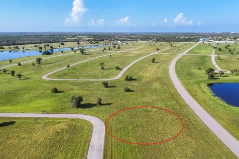 Land in Placida, Florida № 2163061 - photo 3
