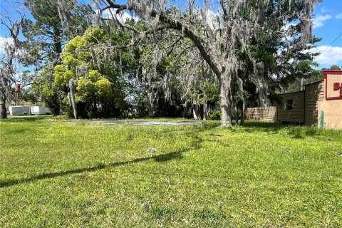 Land in Starke, Florida № 1733309 - photo 4