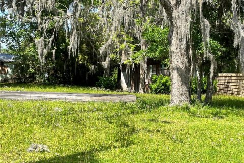 Land in Starke, Florida № 1733309 - photo 3