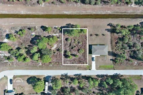 Land in Lehigh Acres, Florida № 2163286