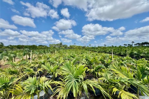 Terrain à vendre à Homestead, Floride № 1992660 - photo 19