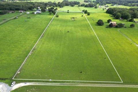 Terreno en venta en Weirsdale, Florida № 1023227 - foto 8