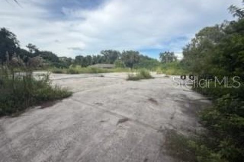 Land in Lakeland, Florida № 1913025 - photo 11
