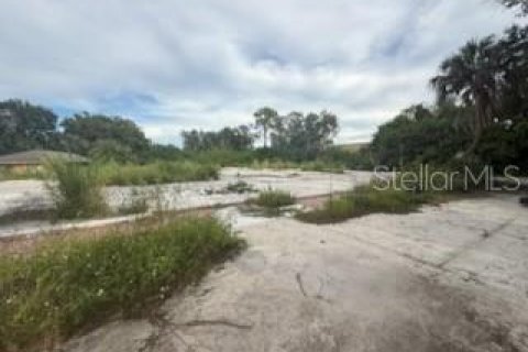 Land in Lakeland, Florida № 1913025 - photo 6