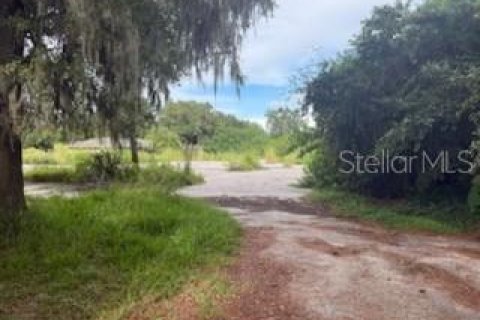 Land in Lakeland, Florida № 1913025 - photo 2