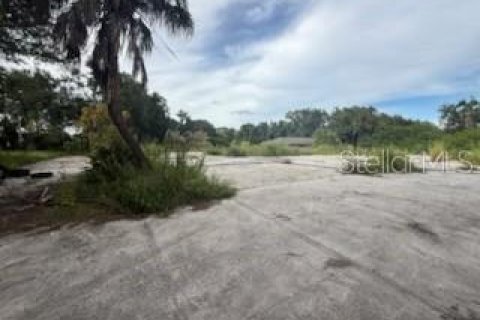 Land in Lakeland, Florida № 1913025 - photo 10