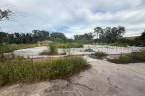 Land in Lakeland, Florida № 1913025 - photo 5
