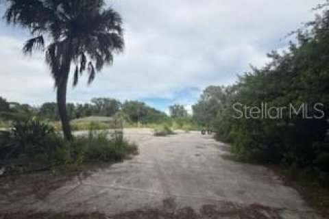 Land in Lakeland, Florida № 1913025 - photo 4