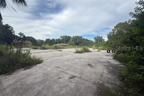 Land in Lakeland, Florida № 1913025 - photo 9