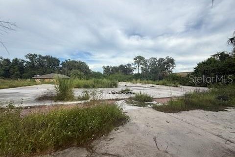 Land in Lakeland, Florida № 1913025 - photo 7