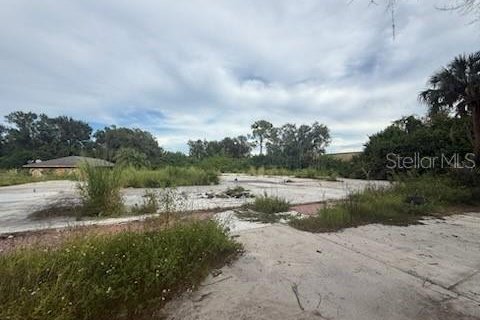 Land in Lakeland, Florida № 1913025 - photo 8
