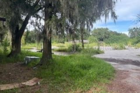 Land in Lakeland, Florida № 1913025 - photo 3