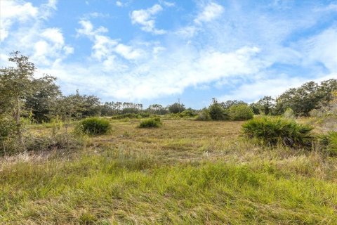 Terrain à vendre à Myakka City, Floride № 1533220 - photo 5