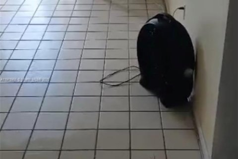 Condo in Miami, Florida, 2 bedrooms № 2019518 - photo 3