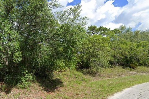Land in Kissimmee, Florida № 1196788 - photo 3