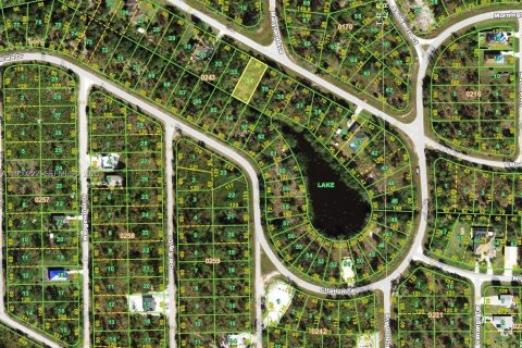 Land in Punta Gorda, Florida № 2158154