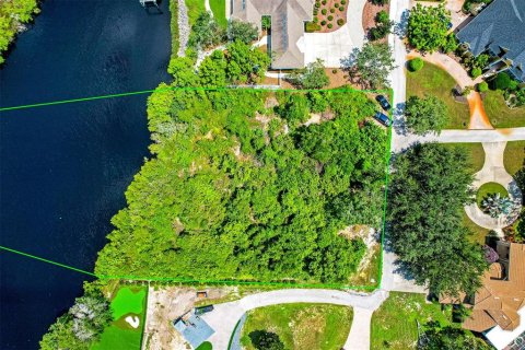 Terrain à vendre à Tarpon Springs, Floride № 1905694 - photo 8