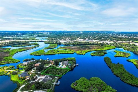Terrain à vendre à Tarpon Springs, Floride № 1905694 - photo 6