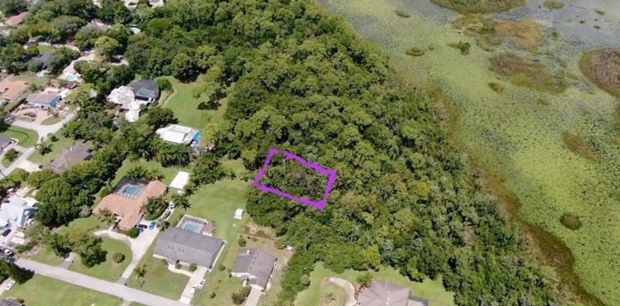 Land in Longwood, Florida № 1771969
