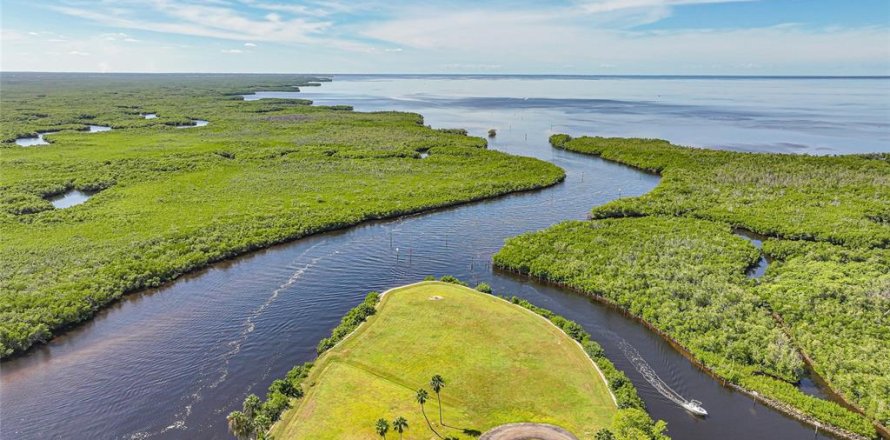 Land in Punta Gorda, Florida № 2393818