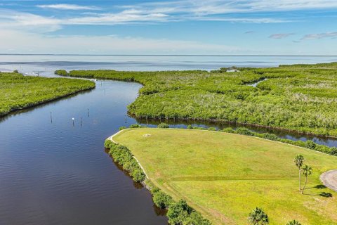 Land in Punta Gorda, Florida № 2393818 - photo 10