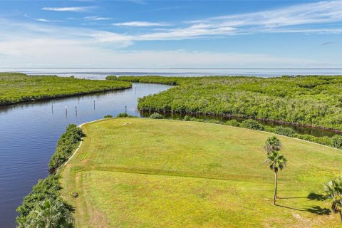 Land in Punta Gorda, Florida № 2393818 - photo 9