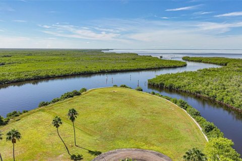 Land in Punta Gorda, Florida № 2393818 - photo 2