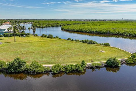 Land in Punta Gorda, Florida № 2393818 - photo 11