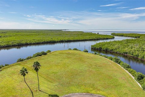 Land in Punta Gorda, Florida № 2393818 - photo 8