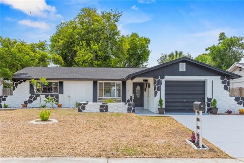 Villa ou maison à Port Richey, Floride 3 chambres, 120.59 m2 № 2203458