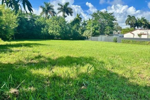 Land in Homestead, Florida № 1691823 - photo 4