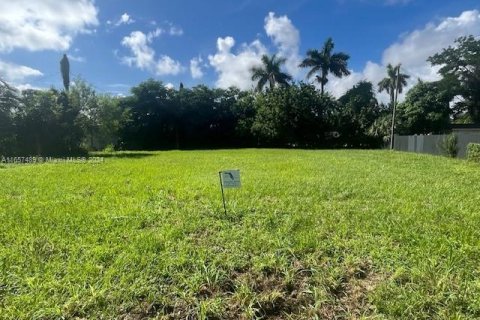 Land in Homestead, Florida № 1691823 - photo 7
