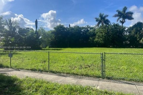 Land in Homestead, Florida № 1691823 - photo 8
