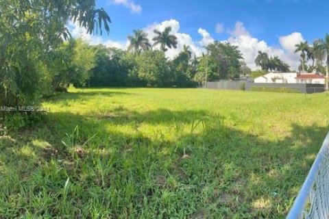 Land in Homestead, Florida № 1691823 - photo 5