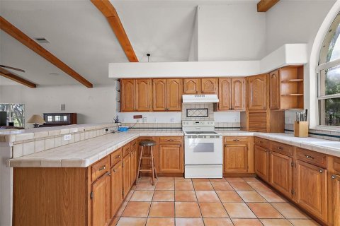 Casa en venta en Umatilla, Florida, 3 dormitorios, 230.86 m2 № 1722347 - foto 9