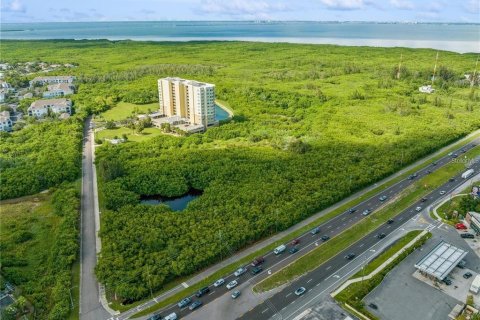 Land in Saint Petersburg, Florida № 1657416 - photo 10
