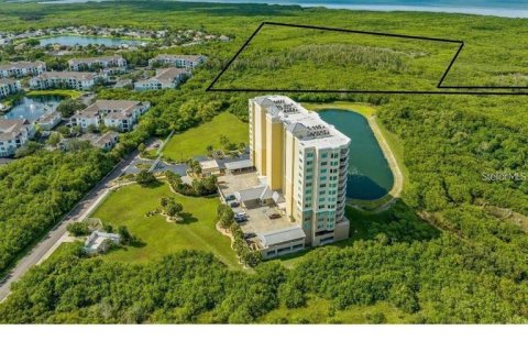 Land in Saint Petersburg, Florida № 1657416 - photo 1
