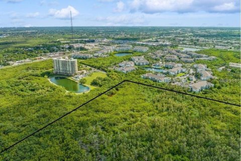 Land in Saint Petersburg, Florida № 1657416 - photo 5