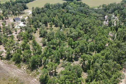 Land in Live Oak, Florida № 1773181 - photo 4